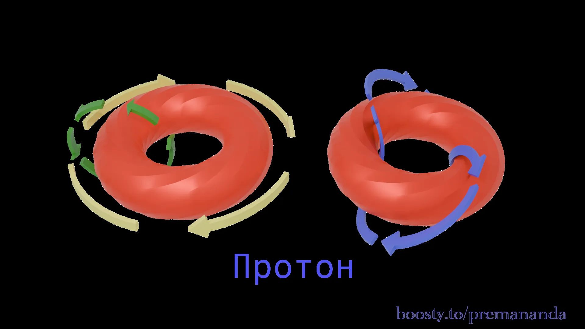 Proton rotation model