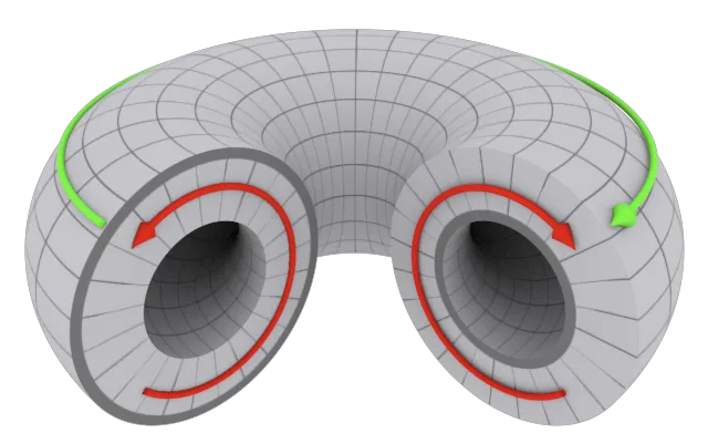 Diagram of a proton as a toroidal ether vortex